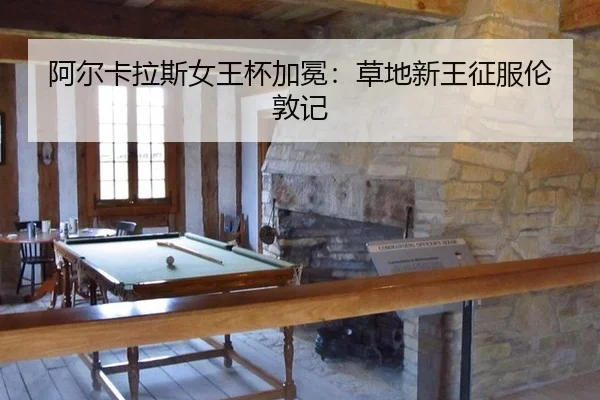 a-er-ka-la-si-nv-wang-bei-jia-mian-cao-di-xin-wang-zheng-fu-lun-dun-ji-2-328.jpg